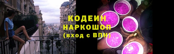 хмурый Осинники