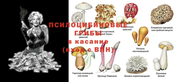 a pvp Няндома