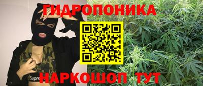 гашиш Будённовск