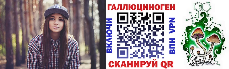 площадка Telegram Краснознаменск Псилоцибиновые грибы мицелий