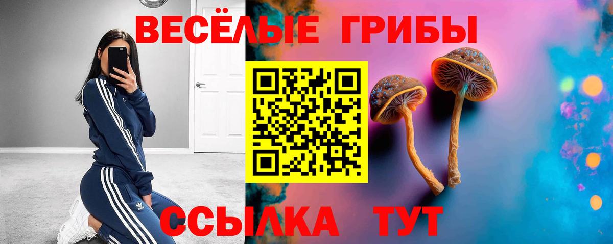 Галлюциногенные грибы мицелий Краснознаменск